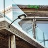 Solar arm light