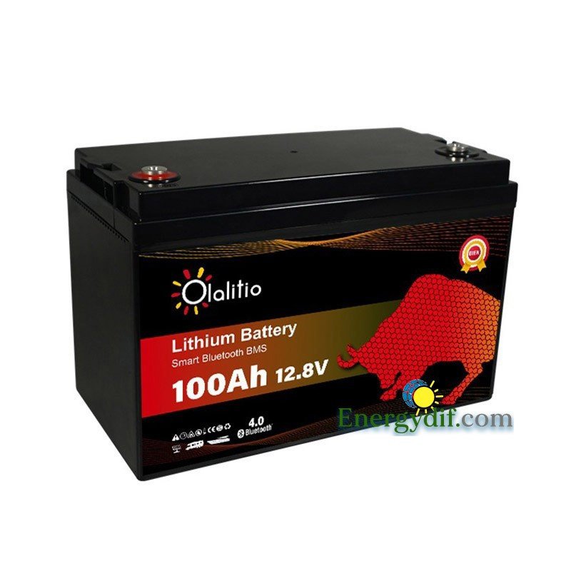 Lithium Batterie LIFEPO4 12,8 V 100 AH SMART BMS MIT BLUETOOTH OLALITI