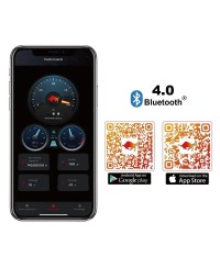 Batteria al litio LiFePO4 12,8 V 54 Ah Smart BMS con Bluetooth OLALITI