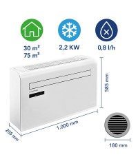 PAC-W 2200 SH monobloc reversible air conditioner without external uni