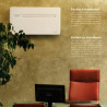 Innova 2.0 reversible monobloc air conditioner without outdoor unit