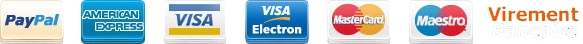 Logo Paypal