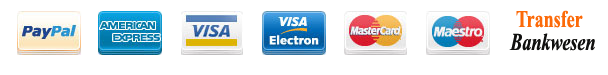 Logo Paypal